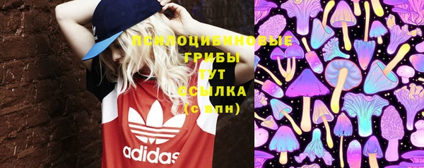 ECSTASY Новодвинск