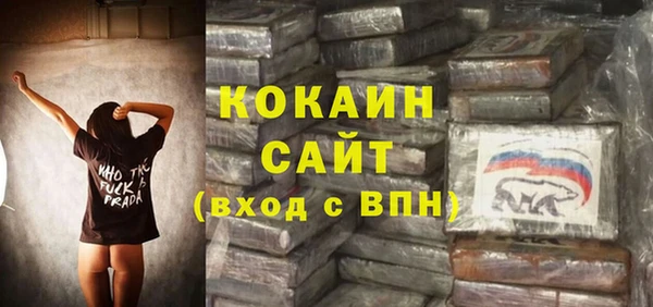 соль курить ск Новозыбков
